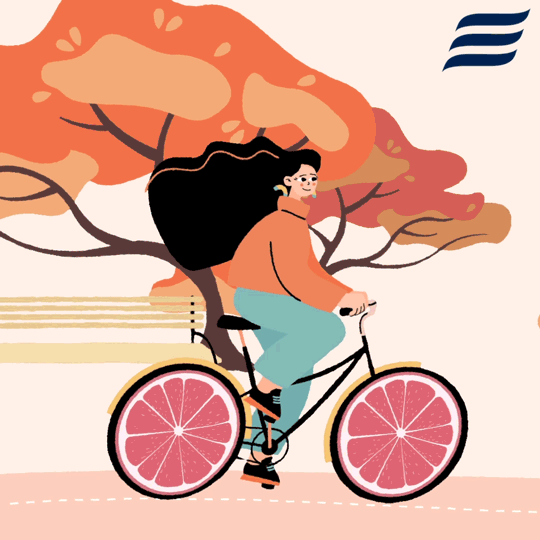 Baltica bike